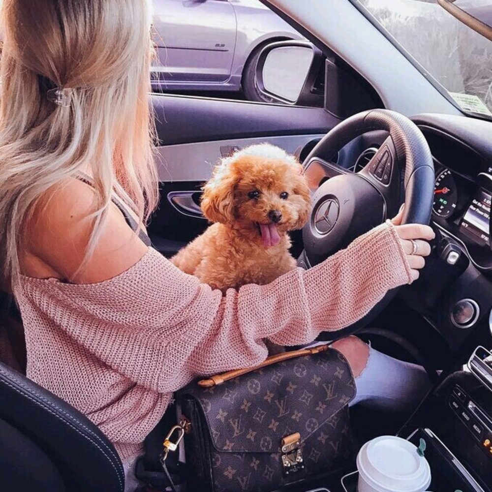 Meet your Posher, Marie